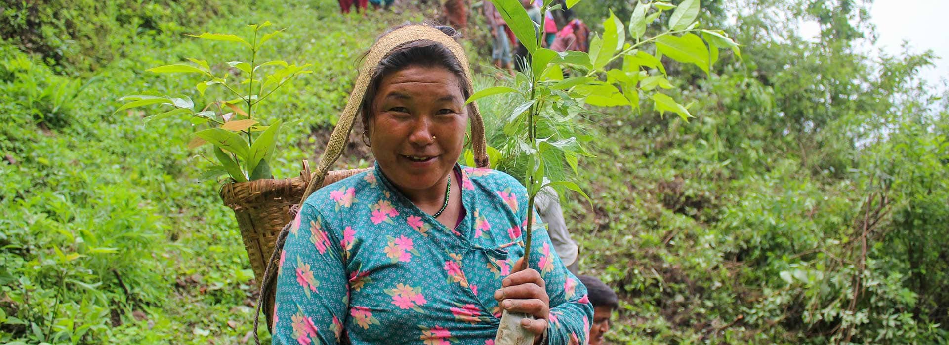 tree planting in nepal